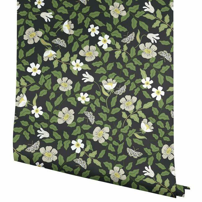 Primrose Premium Peel + Stick Wallpaper Peel and Stick Wallpaper Rifle Paper Co.   